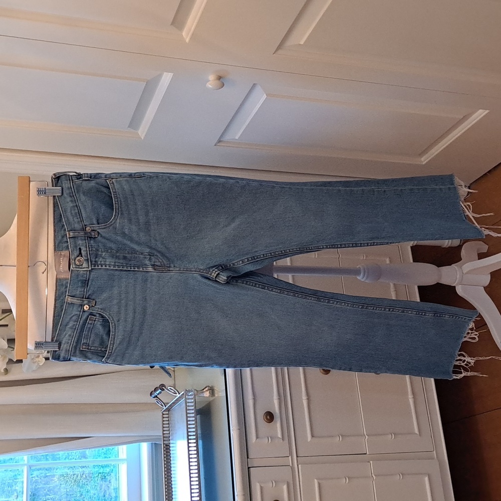 Everlane Womens High-Rise Straight Leg‎ Crop Jeans Raw Hem Light Wash Size 29